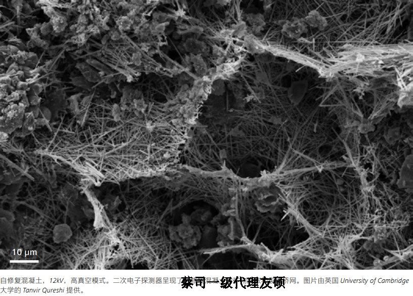 文昌文昌蔡司文昌扫描电镜